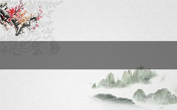 国外烟花对轰